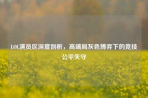 LOL演员区深度剖析,高端局灰色博弈下的竞技公平失守