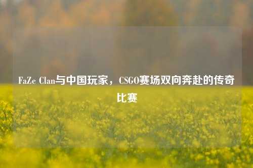 FaZe Clan与中国玩家,CSGO赛场双向奔赴的传奇比赛