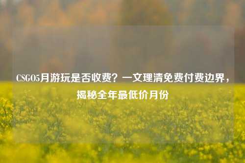 CSGO5月游玩是否收费？一文理清免费付费边界，揭秘全年最低价月份