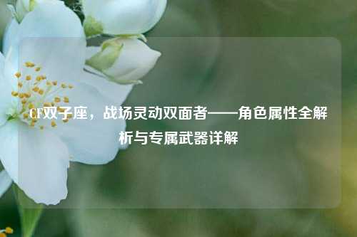 CF双子座,战场灵动双面者——角色属性全解析与专属武器详解