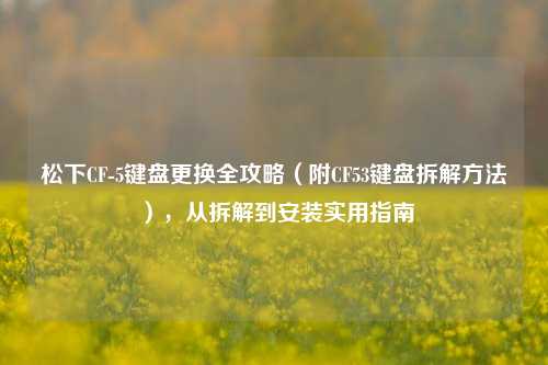 松下CF-5键盘更换全攻略(附CF53键盘拆解方法),从拆解到安装实用指南