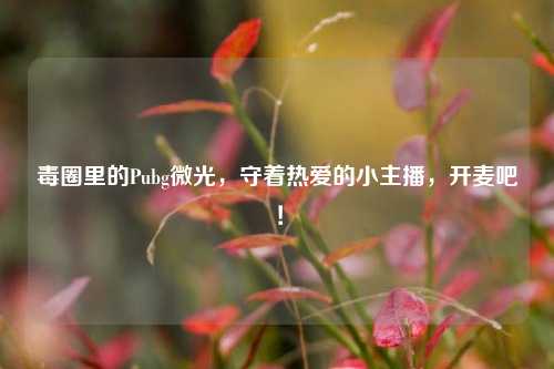毒圈里的Pubg微光,守着热爱的小主播,开麦吧!