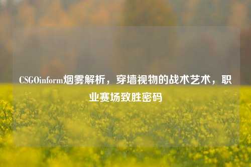 CSGOinform烟雾解析,穿墙视物的战术艺术,职业赛场致胜密码