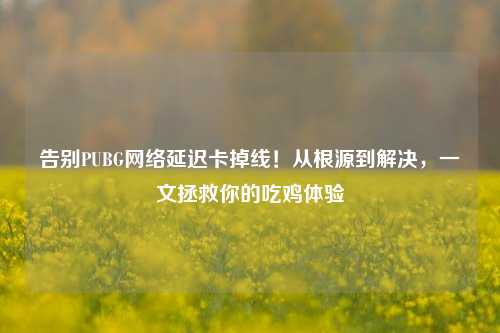 告别PUBG网络延迟卡掉线!从根源到解决,一文拯救你的吃鸡体验