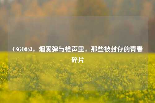 CSGO863，烟雾弹与枪声里，那些被封存的青春碎片