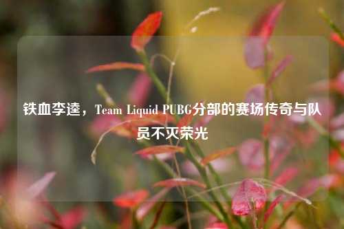 铁血李逵,Team Liquid PUBG分部的赛场传奇与队员不灭荣光