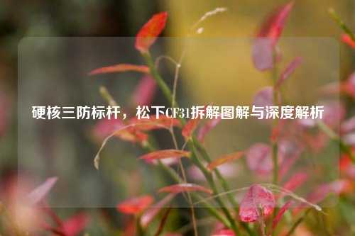 硬核三防标杆,松下CF31拆解图解与深度解析