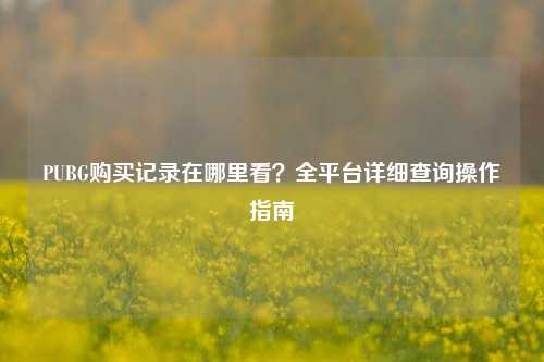 PUBG购买记录在哪里看?全平台详细查询操作指南