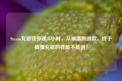 Steam充错钱惊魂36小时,从崩溃到退款,终于搞懂充错的钱能不能退!