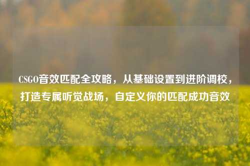 CSGO音效匹配全攻略,从基础设置到进阶调校,打造专属听觉战场,自定义你的匹配成功音效