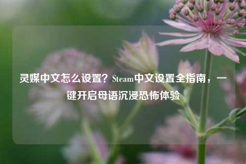 灵媒中文怎么设置？Steam中文设置全指南，一键开启母语沉浸恐怖体验