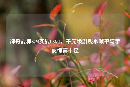 神舟战神S7M实战CSGO,千元级游戏本帧率与手感惊喜十足