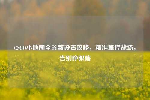 CSGO小地图全参数设置攻略，精准掌控战场，告别睁眼瞎