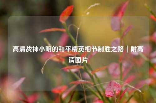 高清战神小明的和平精英细节制胜之路|附高清图片