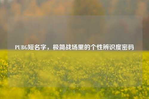 PUBG短名字,极简战场里的个性辨识度密码