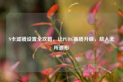 N卡滤镜设置全攻略，让PUBG画质升级，敌人无所遁形