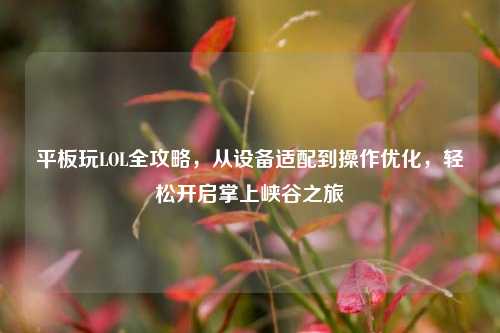 平板玩LOL全攻略,从设备适配到操作优化,轻松开启掌上峡谷之旅