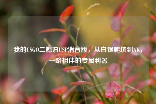 我的CSGO二媳妇USP消音版,从白银爬坑到AK,一路相伴的专属利器
