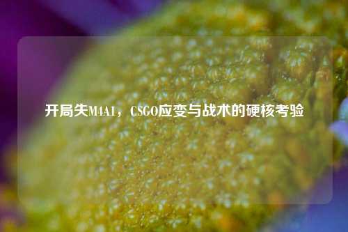 开局失M4A1,CSGO应变与战术的硬核考验