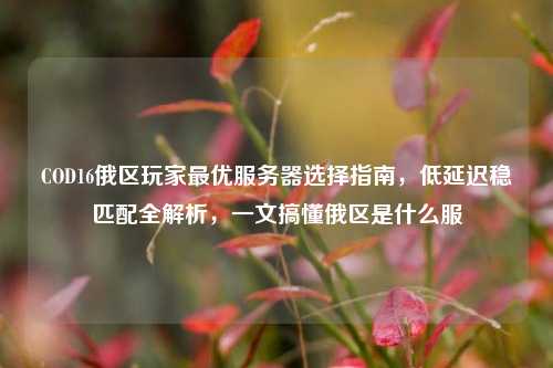 COD16俄区玩家最优服务器选择指南,低延迟稳匹配全解析,一文搞懂俄区是什么服