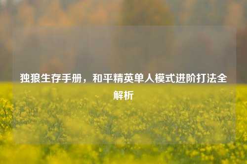 独狼生存手册,和平精英单人模式进阶打法全解析