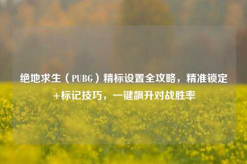 绝地求生（PUBG）精标设置全攻略，精准锁定+标记技巧，一键飙升对战胜率