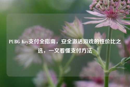 PUBG Key支付全指南,安全激活游戏的性价比之选,一文看懂支付方法