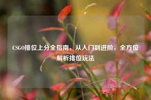 CSGO排位上分全指南,从入门到进阶,全方位解析排位玩法