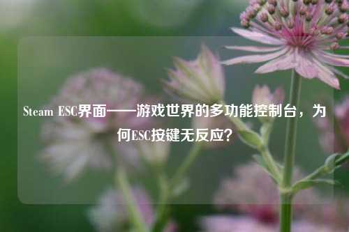 Steam ESC界面——游戏世界的多功能控制台,为何ESC按键无反应?