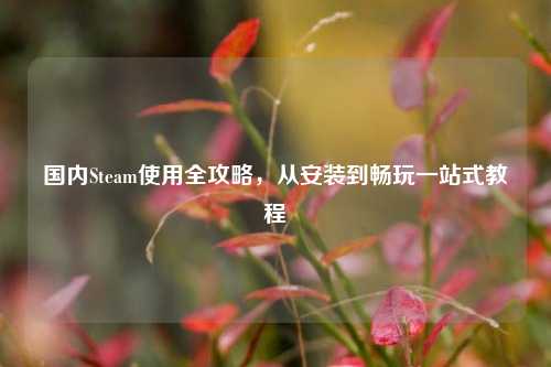国内Steam使用全攻略，从安装到畅玩一站式教程