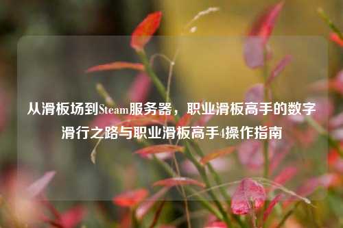 从滑板场到Steam服务器,职业滑板高手的数字滑行之路与职业滑板高手4操作指南