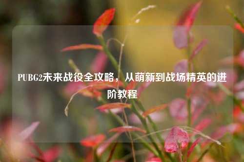 PUBG2未来战役全攻略,从萌新到战场精英的进阶教程