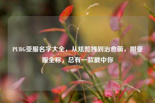 PUBG亚服名字大全,从炫酷拽到治愈萌,附亚服全称,总有一款戳中你