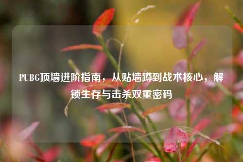 PUBG顶墙进阶指南,从贴墙蹲到战术核心,解锁生存与击杀双重密码
