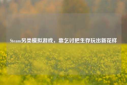 Steam另类模拟游戏，靠乞讨把生存玩出新花样