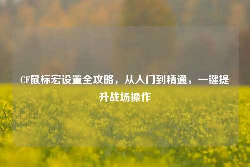 CF鼠标宏设置全攻略,从入门到精通,一键提升战场操作