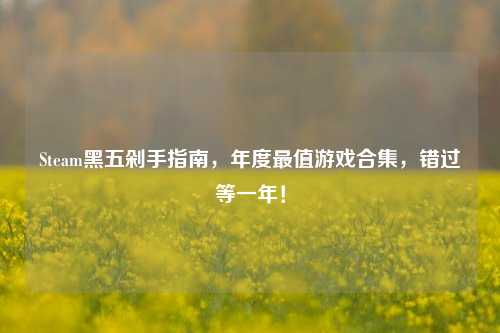 Steam黑五剁手指南,年度最值游戏合集,错过等一年!