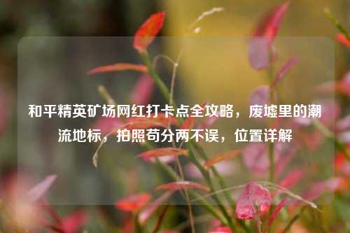 和平精英矿场网红打卡点全攻略,废墟里的潮流地标,拍照苟分两不误,位置详解