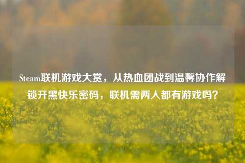 Steam联机游戏大赏,从热血团战到温馨协作解锁开黑快乐密码,联机需两人都有游戏吗?