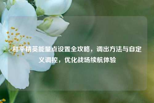 和平精英能量点设置全攻略，调出方法与自定义调控，优化战场续航体验
