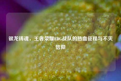 银龙铸魂，王者荣耀EDG战队的热血征程与不灭信仰