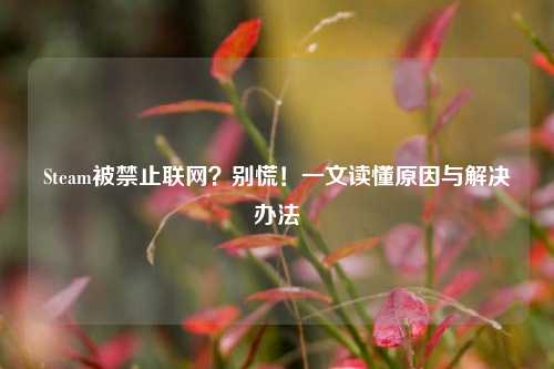 Steam被禁止联网?别慌!一文读懂原因与解决办法