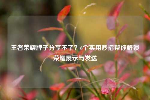 王者荣耀牌子分享不了?6个实用妙招帮你解锁荣耀展示与发送