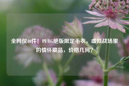 全网仅40件!PUBG绝版限定毛衣,虚拟战场里的情怀藏品,价格几何?