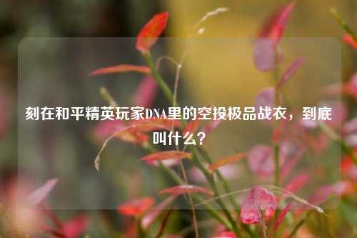 刻在和平精英玩家DNA里的空投极品战衣,到底叫什么?