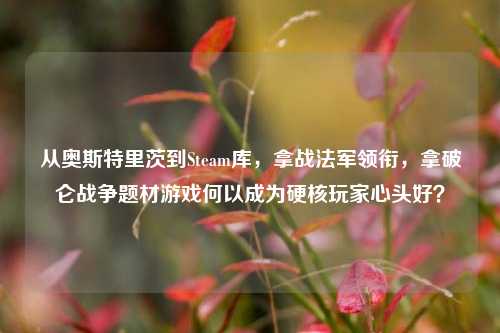 从奥斯特里茨到Steam库,拿战法军领衔,拿破仑战争题材游戏何以成为硬核玩家心头好?