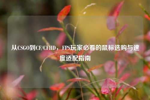 从CSGO到CF/CFHD，FPS玩家必看的鼠标选购与速度适配指南
