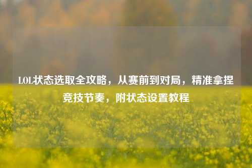 LOL状态选取全攻略,从赛前到对局,精准拿捏竞技节奏,附状态设置教程