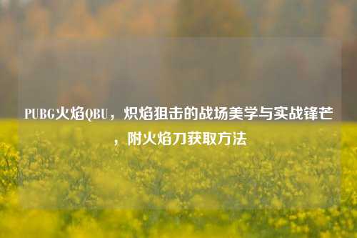 PUBG火焰QBU,炽焰狙击的战场美学与实战锋芒,附火焰刀获取方法