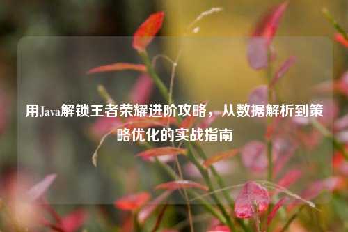 用Java解锁王者荣耀进阶攻略,从数据解析到策略优化的实战指南